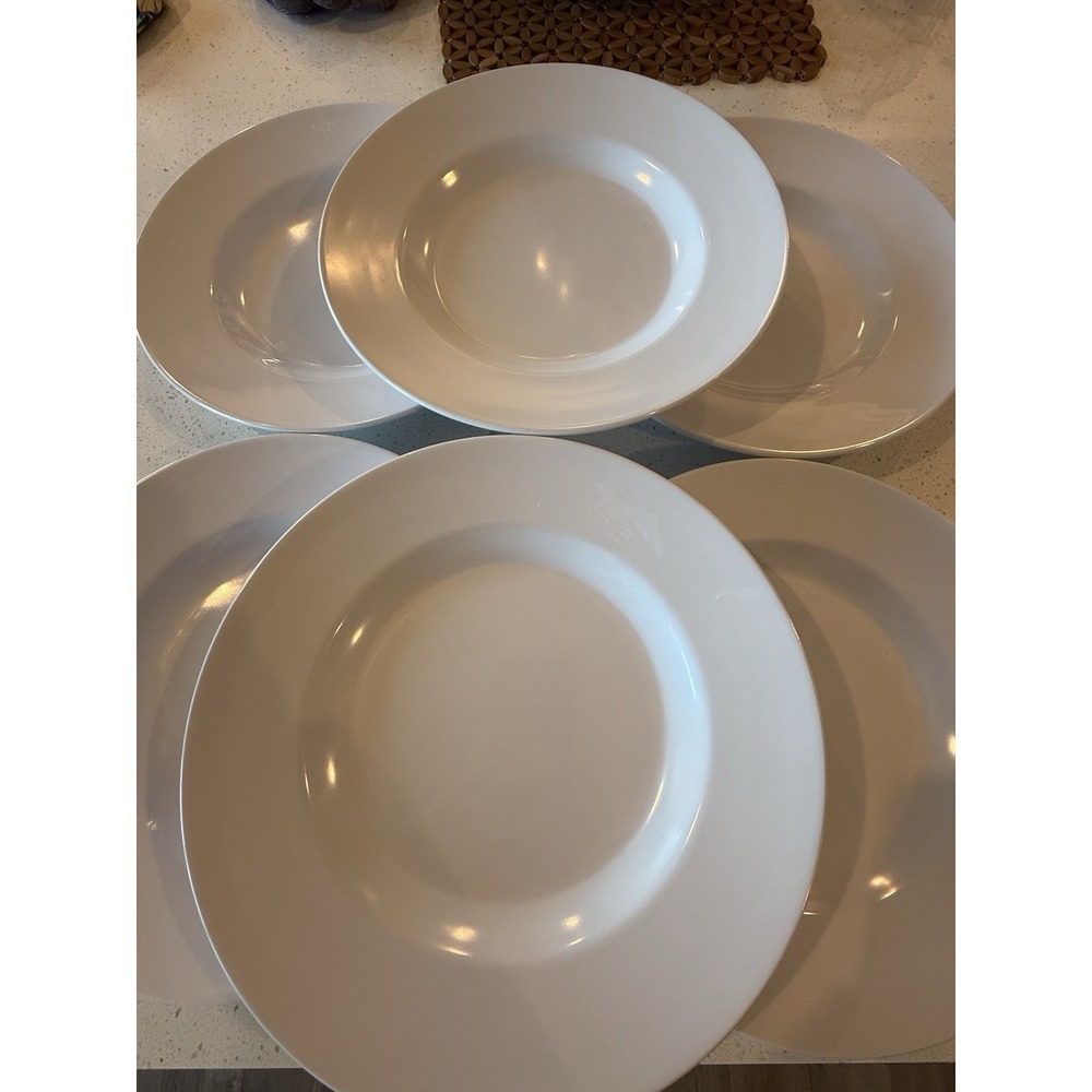 Pottery Barn Al Fresco Melamine Plates Set of 6